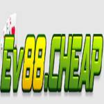 Ev 88 Profile Picture