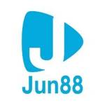 Ju88 Profile Picture