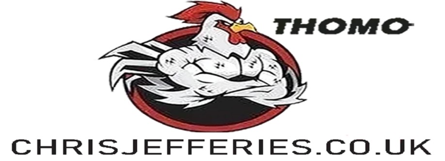 ĐÁ GÀ TRỰC TIẾP VIN Cover Image