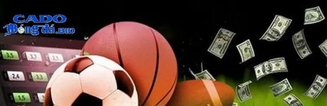 Trang Cá Độ Bóng Đá Cover Image