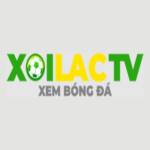 Fondazionesabattini it    thao tung ket qua tim kiếm Profile Picture