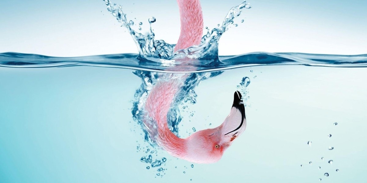 Appartements à Dubaï