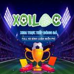 bongda xoilac86tv Profile Picture