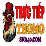 ĐÁ GÀ TRỰC TIẾP THOMO Profile Picture