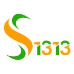 Solutions 1313 Profile Picture