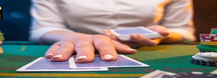 c54y net Cover Image