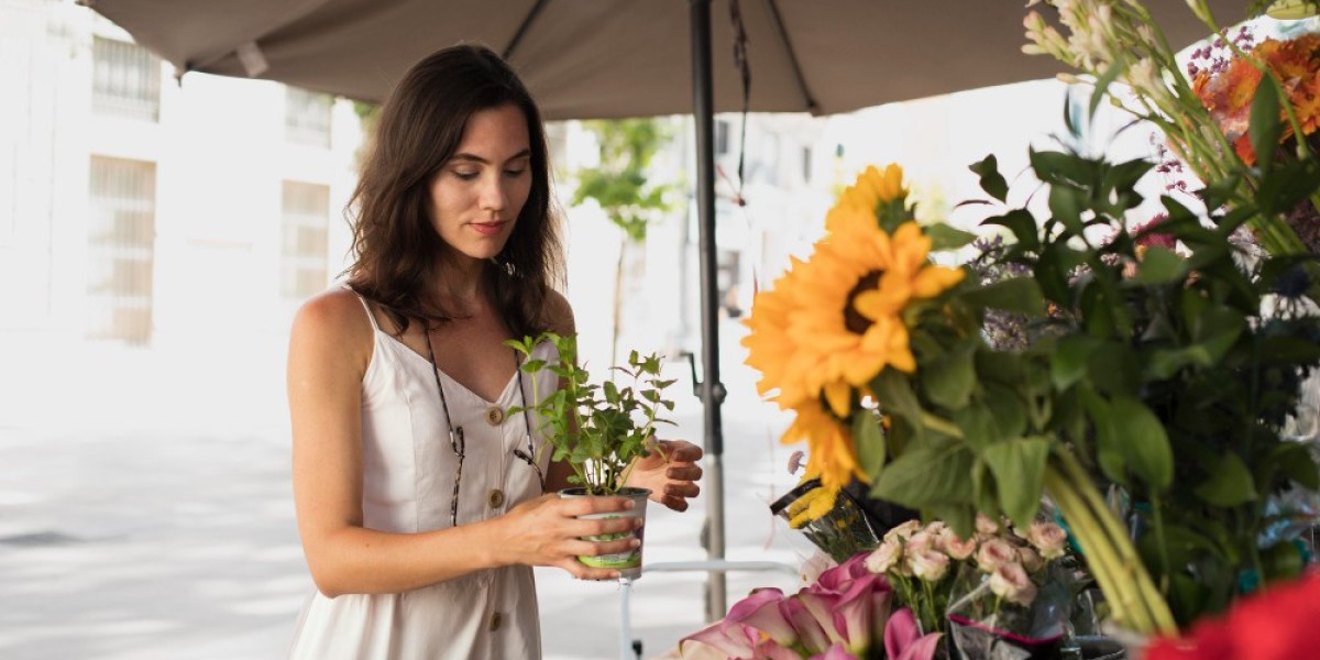 Common Houseplants That Thrive in Low Light