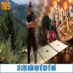 CEO Tề Nhã Profile Picture