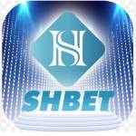 Shbet88 Profile Picture