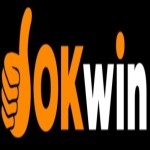 OKWIN uk net Profile Picture