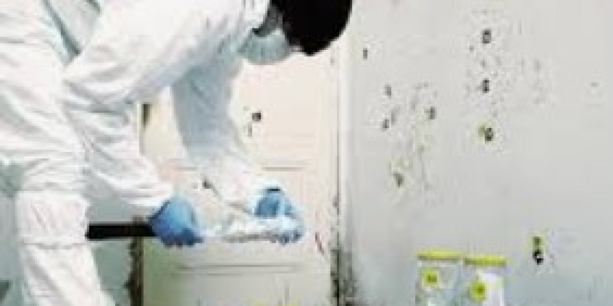 Restoring Safety and Sanitation: The Role of Biohazard Cleaning Services