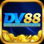 Dv88 profile picture