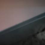 Agnes katusabe Profile Picture