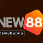 Nhà Đài New88 Profile Picture