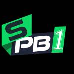 SPB808 Portal game Profile Picture