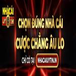 Hướng dẫn cá cược Profile Picture