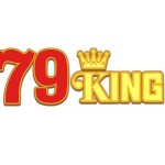 79KING domains Profile Picture