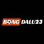 Bóng Đá Số Công Cụ Phân Tích Không Thể Thiếu Profile Picture