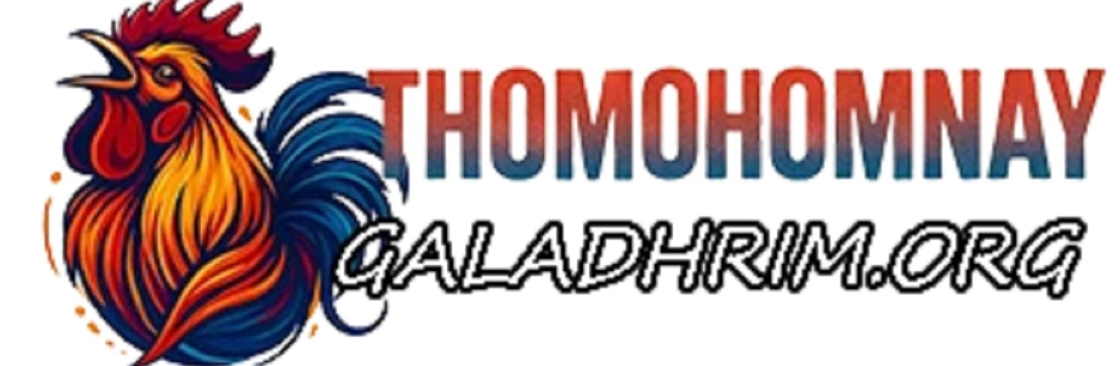 THOMOHOMNAY XEM TRỰC TIẾP ĐÁ GÀ Cover Image