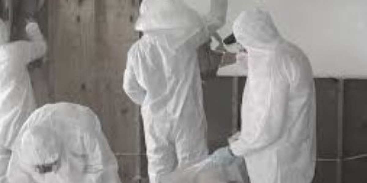 Restoring Health and Safety: Biohazard Cleaning Services – Your Trusted Remedial Experts