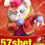 57sbet Profile Picture