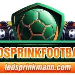 Tedsprink mann Profile Picture