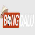 Nhà cái Bongdalu Profile Picture