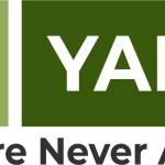 yanameal Profile Picture