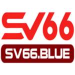 Sv66 Profile Picture