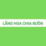 lăng hoa chia buồn Profile Picture