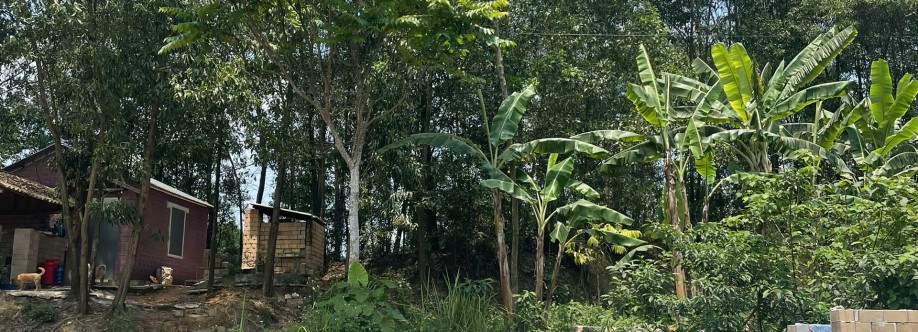 bovia betong Cover Image