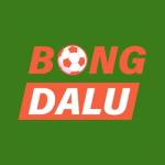 Tỷ Số Bóng Đá Bongdalu Profile Picture