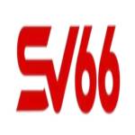 sv66team cn com Profile Picture