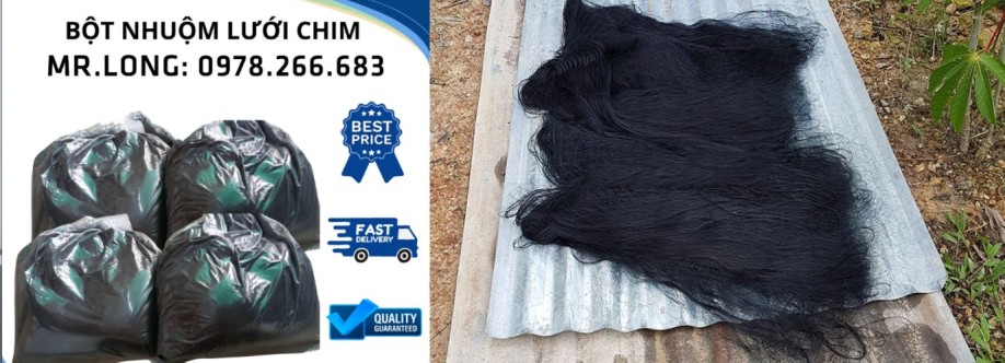 Luoibaychim Vn Cover Image