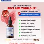 Para911 Drops Profile Picture