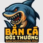 Bancadoithuong Fish Profile Picture