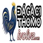 ĐÁ GÀ C1 TRỰC TIẾP ĐÁ GÀ THOMO XEM MIỄN PHÍ Profile Picture