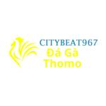 Đá Gà Trực Tiếp Thomo Profile Picture
