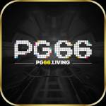 PG66 Profile Picture