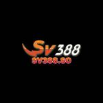 SV388 SO Profile Picture