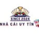 nhacaiuytin shop Profile Picture