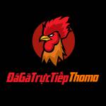 Dagatructiepthomo Profile Picture