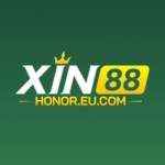 Xin88 honor Profile Picture