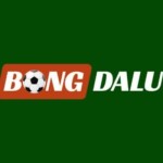 Bongdalu Cập Nhật Tỷ Số Bóng Đá Nhanh  Chính Xác Hàng Đầu Profile Picture