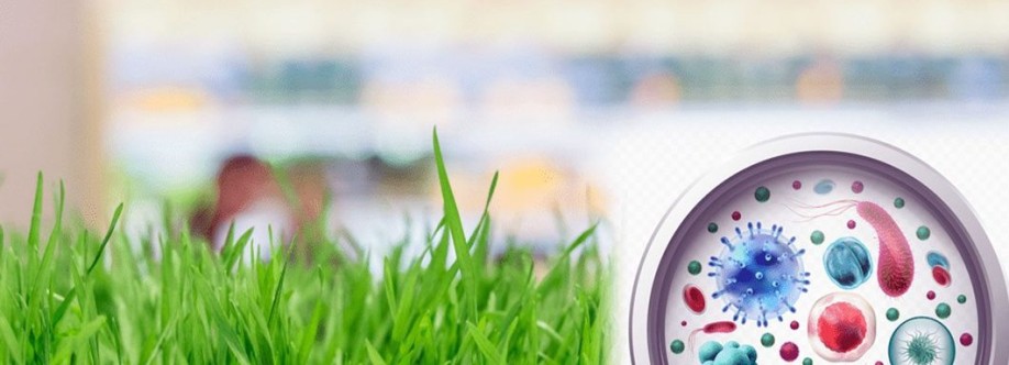 Chepham VisinhDucBinh Cover Image