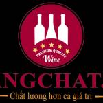 Vang Chất Profile Picture