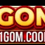 1gom 1gom Profile Picture