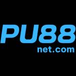 PU88 Profile Picture