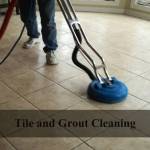 wonderfloor Profile Picture