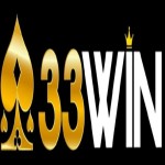33Winn design Profile Picture